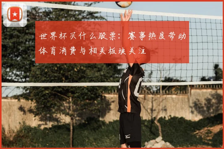 世界杯买什么股票:赛事热度带动体育消费与相关板块关注